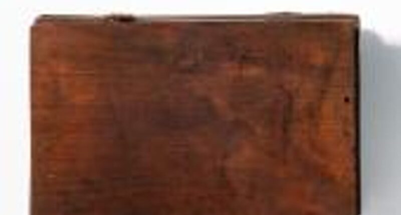 Merchant’s notebook recovered in near-perfect condition from 800-year-old German latrine