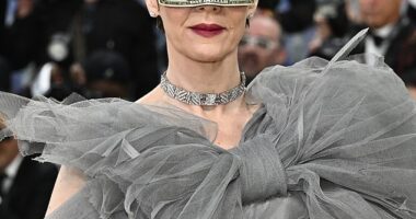 Sarah Paulson divided social media when she arrived to the 2026 Met Gala wearing a one-dollar bill as a mask