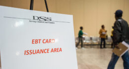 Minnesota Grocer Abdidwahid Mohamed Charged Over $1M EBT Fraud Scheme. – The National Pulse
