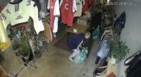 Two thieves, one masked and one brazenly unmasked, arrived at Bread and Butter Collections in Shoreditch at 4.30am on May 28 and broke into the store