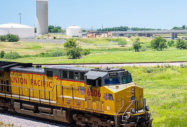 Police in Laredo are investigating after multiple bodies were discovered inside a Union Pacific boxcar on Sunday turning what was supposed to be a routine freight stop into a horrifying scene (file photo)