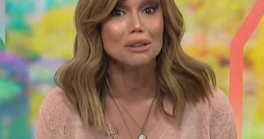 NBC host Sara Gore, 49, shared the heartbreaking news that she has been diagnosed with breast cancer during a tearful on-air announcement on Thursday