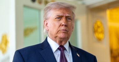 Newly Released Trump Border Numbers Further Expose Full Scale of Biden’s Border Crisis – RedState