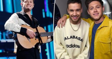 Niall Horan releases emotional song about late One Direction bandmate Liam Payne