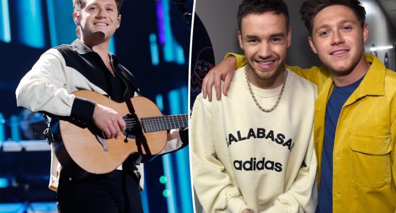 Niall Horan releases emotional song about late One Direction bandmate Liam Payne