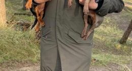 When Claire Bridger, 64, learned that her estranged husband had euthanised their dachshunds Violet and Dorothy she stabbed him in the chest and abdomen with a kitchen knife