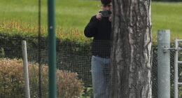 Now more trouble beckons for spying Southampton: Fans demand refunds for cancelled trips to £200m play-off final, cheating manager fears he will be sacked - and they didn't even win the games they spied for!