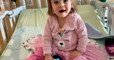 Parental intuition saved toddler's life after mom and dad rushed her to ER when she wouldn't stop crying, with doctors flooding room after frightening discovery was made
