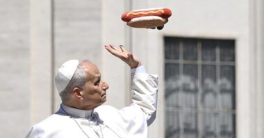 Pope Leo, 70, has been known for his penchant for an American classic and recently admitted his go-to hotdog toppings are ketchup and mustard
