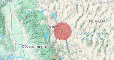The seismic activity kicked off with a 4.1 magnitude quake at 1.15am PT (4.15am ET) near Silver Lake, the epicenter of the swarm, followed by a 4.9 magnitude quake (pictured) less than two minutes later.