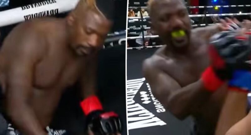 Ray J hospitalized after MMA knockout with Supa Hot Fire: report