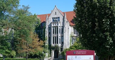 Edward Lyon, a longtime scientist at the University of Chicago, left a trust to his grandchildren, but a paperwork problem prevented them from ever receiving it