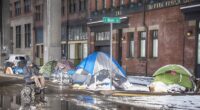 Residents Forced to Take Crimefighting Into Their Own Hands As Police Do Nothing – RedState