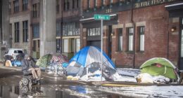 Residents Forced to Take Crimefighting Into Their Own Hands As Police Do Nothing – RedState