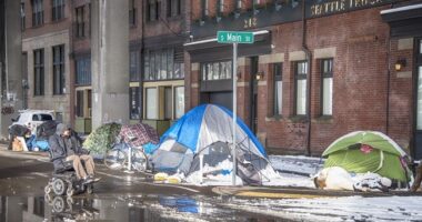 Residents Forced to Take Crimefighting Into Their Own Hands As Police Do Nothing – RedState