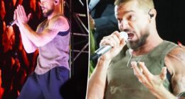 Ricky Martin halts Montenegro concert over scary tear gas incident
