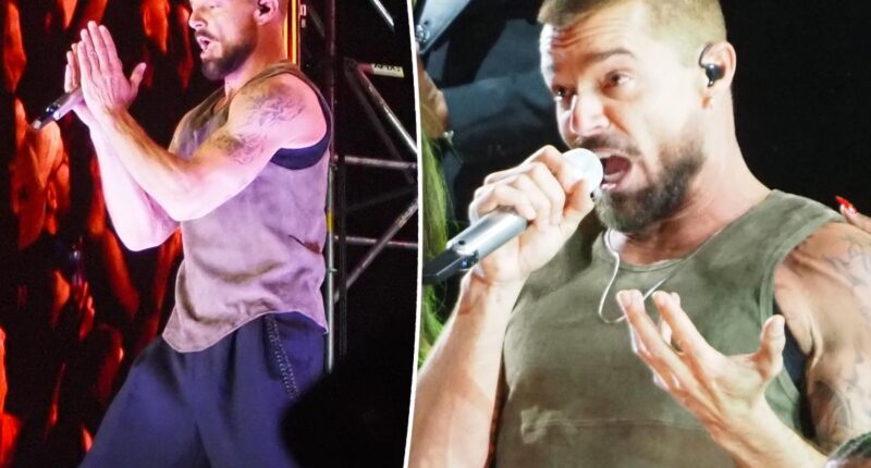 Ricky Martin halts Montenegro concert over scary tear gas incident