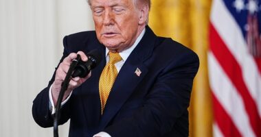 Senior Republican operative leaks catastrophic party secret to MARK HALPERIN