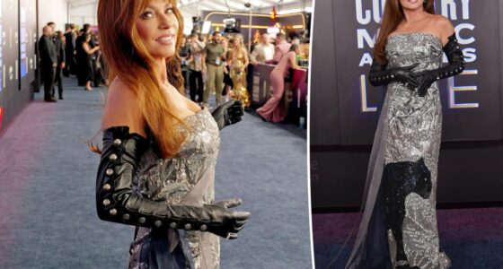 Shania Twain wears strapless panther dress at ACM Awards