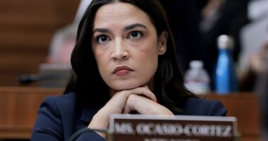 Alexandria Ocasio-Cortez is secretly getting cold feet about a 2028 White House bid, even as fellow Democrats clamor for her to seize the reins of the party