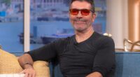 Simon Cowell has revealed he once turned down $150,000 from a couple who asked him to judge them having sex