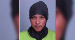Somali Daycare Owner Hit with Federal Charges over $4.6 Million Fraud Scheme. – The National Pulse