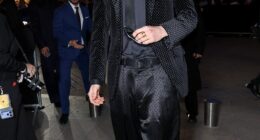 Supermodel Jordan Barrett is eyeing a career off the fashion runways while focusing on his health and wellbeing. Pictured in March