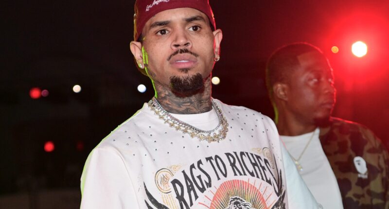 Suspect Gets Arrested AGAIN After Returning To Chris Brown's Home Following Initial Trespassing Incident