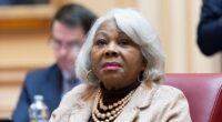 The Crash Out Over the VA Redistricting Ruling Commences, and It's Only Going to Get Worse – RedState