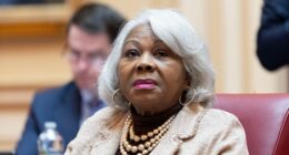 The Crash Out Over the VA Redistricting Ruling Commences, and It's Only Going to Get Worse – RedState