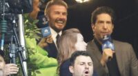 David Schwimmer was among the star-studded crowd watching on as Arsenal lost to Paris Saint-Germain at the Champions League final in Budapest