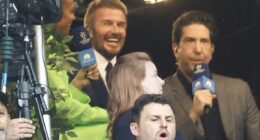 David Schwimmer was among the star-studded crowd watching on as Arsenal lost to Paris Saint-Germain at the Champions League final in Budapest