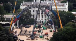 The company behind the White House’s UFC event says rivals ‘would kill’ for the opportunity. Critics say that’s a problem.