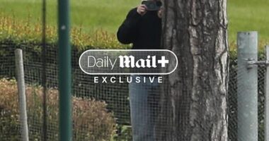 A Southampton analyst hiding behind a tree to spy on Middlesbrough's training session