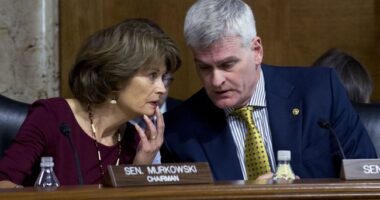 There's a Really Good Chance Bill Cassidy Doesn't Even Make His Own Run-off on Saturday – RedState