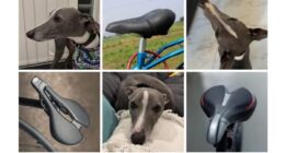 This Page Shared 38 Hilarious Dog Memes That Show How Weird And Wonderful Man&rsquo;s Best Friend Is