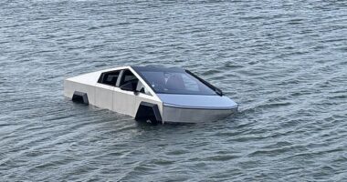 Images shared by Grapevine Police showed the vehicle partially submerged in the waters after being ditched