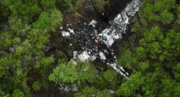 A small plane carrying pickleball players crashed in trees in Texas Hill Country on Thursday
