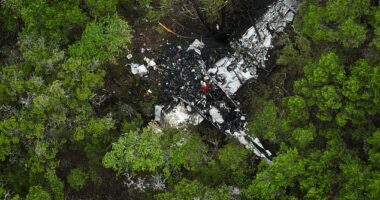 A small plane carrying pickleball players crashed in trees in Texas Hill Country on Thursday
