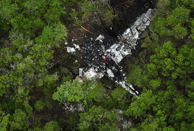 A small plane carrying pickleball players crashed in trees in Texas Hill Country on Thursday