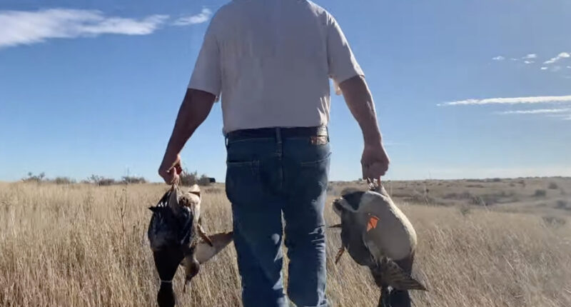 Trump Admin Looks To Expand Hunting Rights On Public Lands