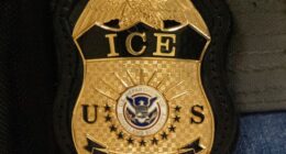 Trump Puts the Open-Borders Lobby on Notice With Record Expansion on Hiring 'Deportation Judges' – RedState