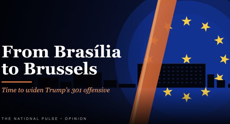 Trump Should Broaden His 301 Offensive. – The National Pulse