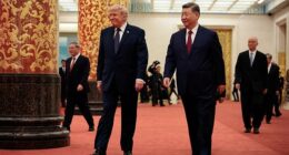 Xi said in his opening speech that both countries can 'help each other succeed' and 'advance the well-being of the whole world'