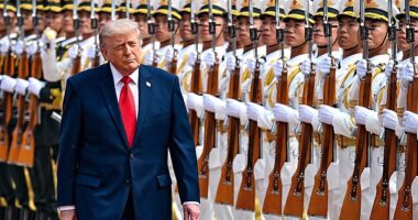 The Trump administration has created a new unit dedicated to reviewing green card holders' criminal history to determine whether they could be deported. President Trump is pictured in Beijing, China on Thursday