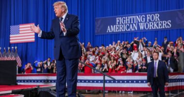 Trump reveals the insult he hates most - and what he did to try and stop it