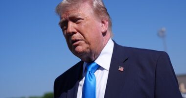 President Donald Trump said he is in 'no hurry' to reopen the Strait of Hormuz and end the Iran war on Wednesday morning. The day before, he downplayed rising gas prices: 'This is peanuts'