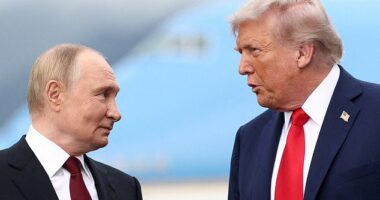 The ceasefire comes as Russian President Vladimir Putin prepares a grand celebration in Moscow this weekend to mark the Soviet Union's victory over Nazi Germany in World War II