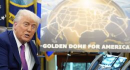 The developers of President Donald Trump's Golden Dome US missile defense system aim to have the system's software ready for testing by this summer amid heightened threats to the American homeland