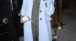 The Department of Justice has reportedly launched a criminal investigation into E Jean Carroll, the former New York magazine writer who accused President Donald Trump of sexual assault (pictured last year)